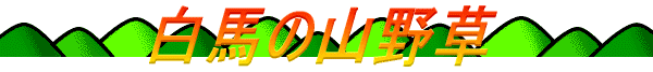 ���n�̎R�쑐 