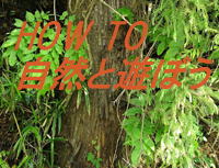 HOW�@TO�@���R�ƗV�ڂ�