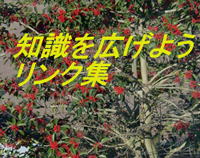 �m�����L���悤�����N�W