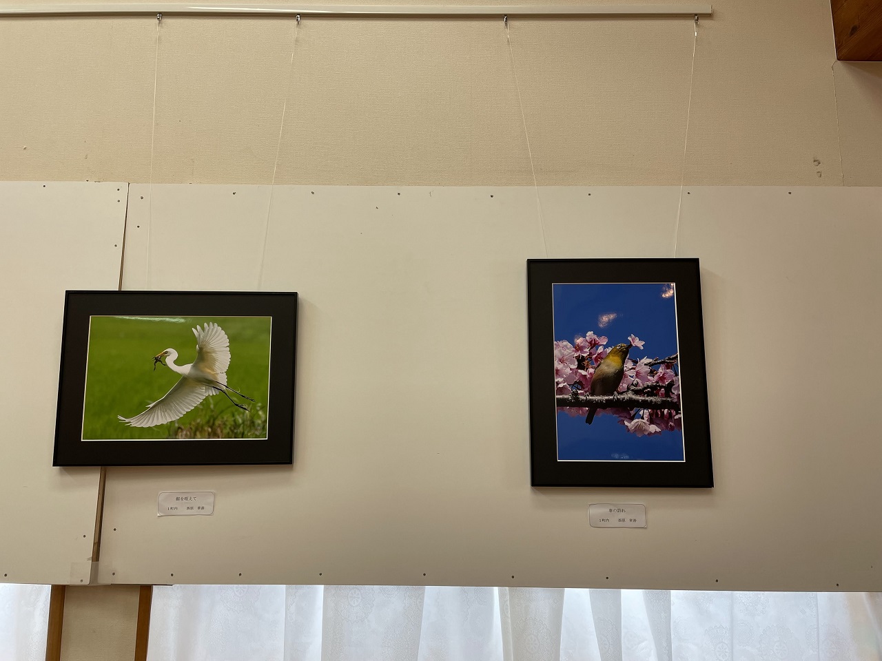アート展