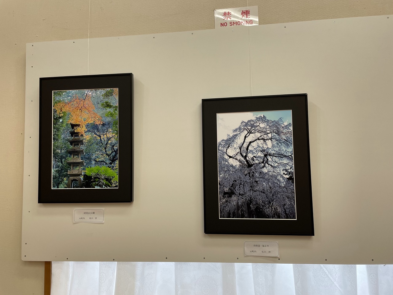 アート展