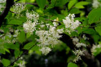 0608oobaasagaradoup.jpg (187603 oCg)