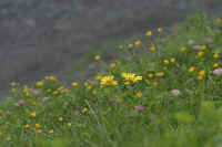 0707mannrichen700p13.JPG (62905 oCg)