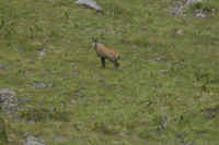 0711stmoritzhike900p11.JPG (140714 oCg)