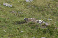 0711stmoritzhike900p8.JPG (153713 oCg)