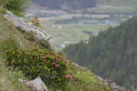 0711stmoritzhike900p9.JPG (116478 oCg)