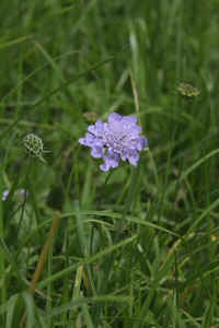 0712maienfeld900p22.JPG (85075 oCg)