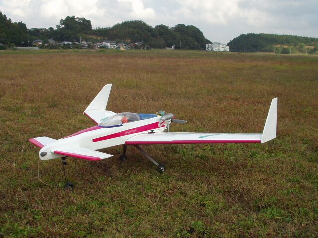 先尾翼機
