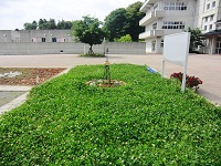 clip_image0025.jpg(39525 byte)