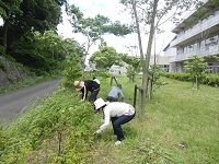 clip_image0027.jpg(38230 byte)