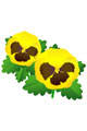 j0740s.jpg(3364 byte)