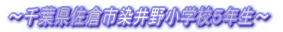 `tqs쏬wZTN`