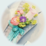 PHOTO boutonia