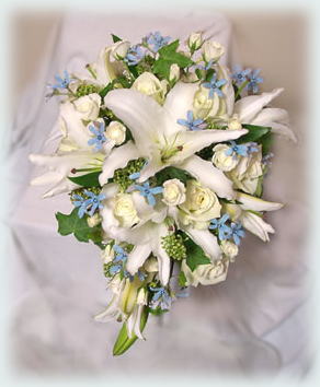 �L���X�P�[�h�V�̏ڍׂ�