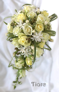 �L���X�P�[�h13�̏ڍׂ�
