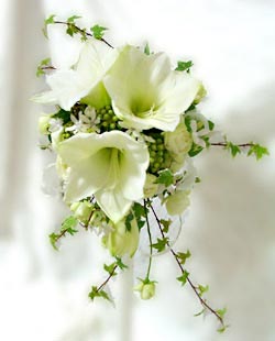 �t���[�X�^�C���Q��