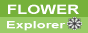 �t�����[�G�N�X�v���[���[��