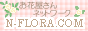 N-FLORA �S�����ԉ�����l�b�g���[�N��