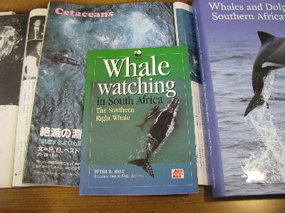 http://www.catv296.ne.jp/~whale/12googs-ten-sekiguti1.jpg