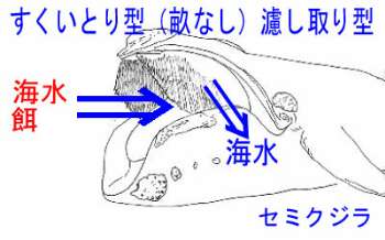 http://www.catv296.ne.jp/~whale/eat-semi.jpg