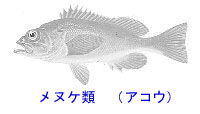 http://www.catv296.ne.jp/~whale/akou.jpg