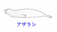 http://www.catv296.ne.jp/~whale/azarasi.JPG