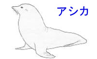 http://www.catv296.ne.jp/~whale/asika.JPG