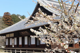 游於芸