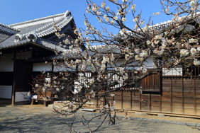 館内入口