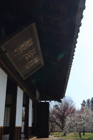 游於芸