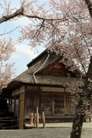 忍野