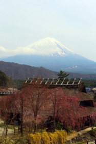 いやしの里
