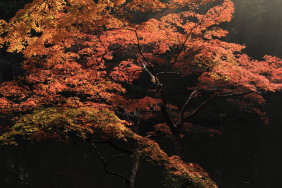 成田山公園