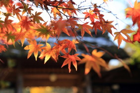 東慶寺