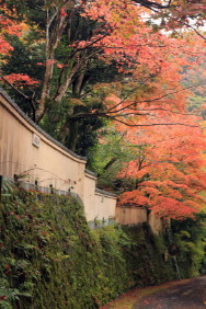 池峯