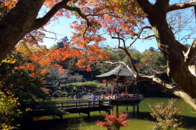 䓰