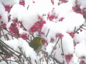 �~�Ƀ��W��