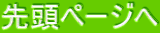 擪y[W