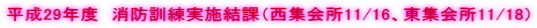 29Nx@hP{ہiW11/16AW11/18j