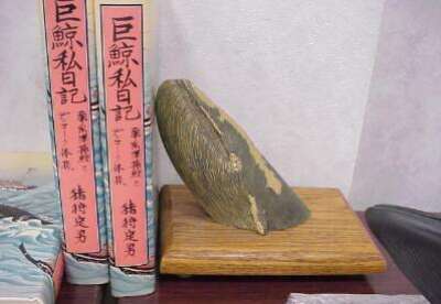 http://www.catv296.ne.jp/~whale/04kuziraten-ikari-bookend.jpg