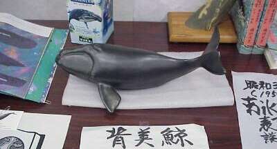 http://www.catv296.ne.jp/~whale/04kuziraten-ikari-semi.jpg